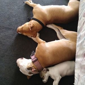 Meet your Posher, Sheranita